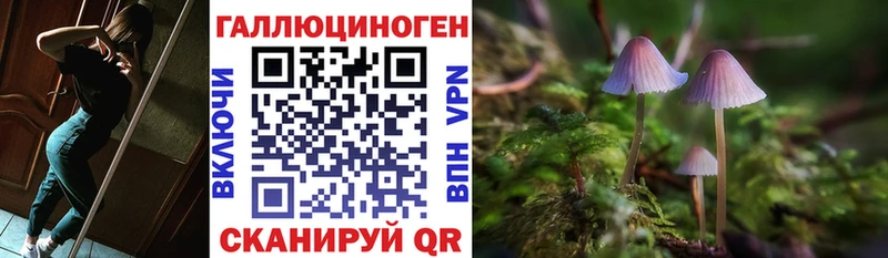 Галлюциногенные грибы MAGIC MUSHROOMS это клад Пролетарск МЕГА ссылка